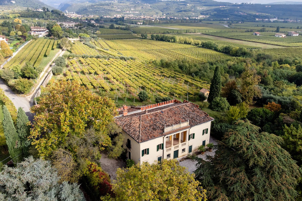 Charming venetian villa with vineyard in the heart of the Valpolicella